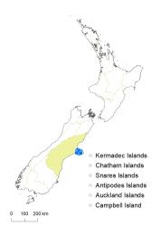 Veronica strictissima distribution map based on databased records at AK, CHR & WELT.
 Image: K.Boardman © Landcare Research 2022 CC-BY 4.0